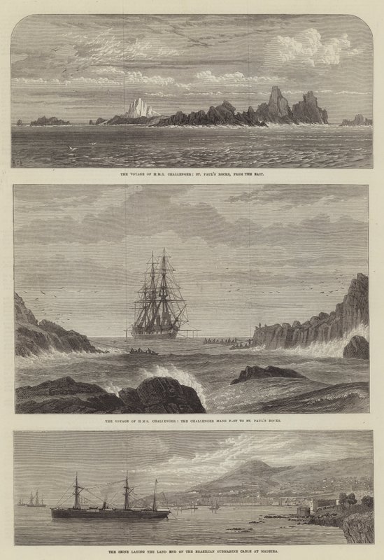 Le voyage du HMS Challenger, les rochers de Saint-Paul, vus de l