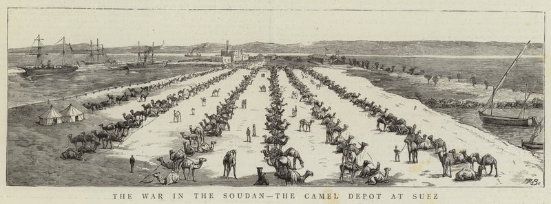 La guerre au Soudan, le dépôt de chameaux à Suez - English School