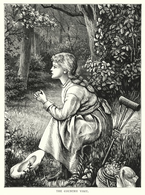 La visite à la campagne - English School
