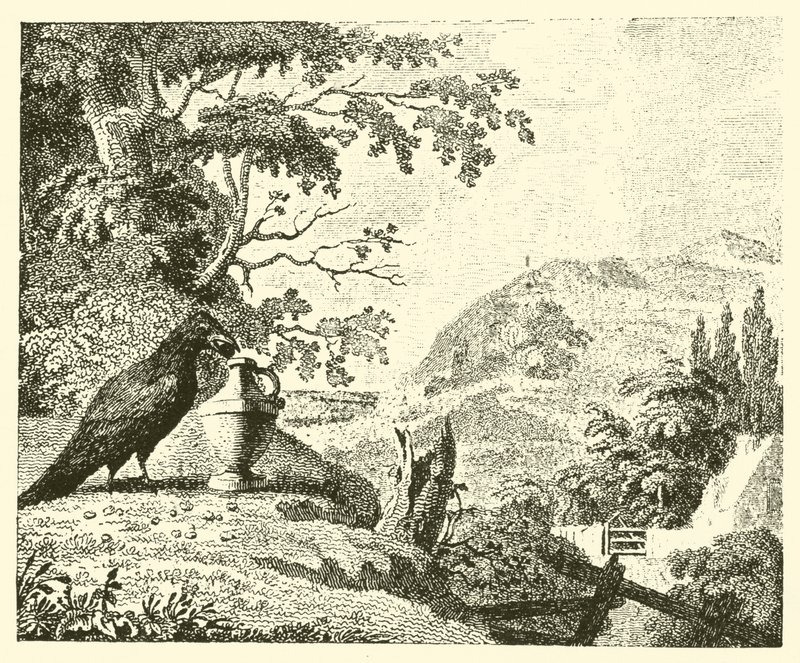 Le corbeau et le pichet - English School