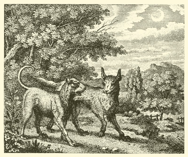 Le chien et le loup (gravure) - English School