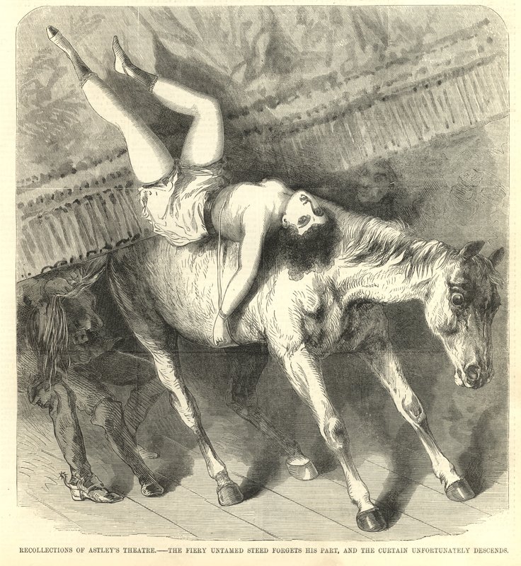 Le cheval fougueux et indompté oublie son rôle, et le rideau tombe malheureusement - English School