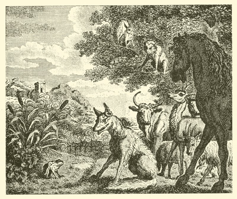 La grenouille et le renard (gravure) - English School