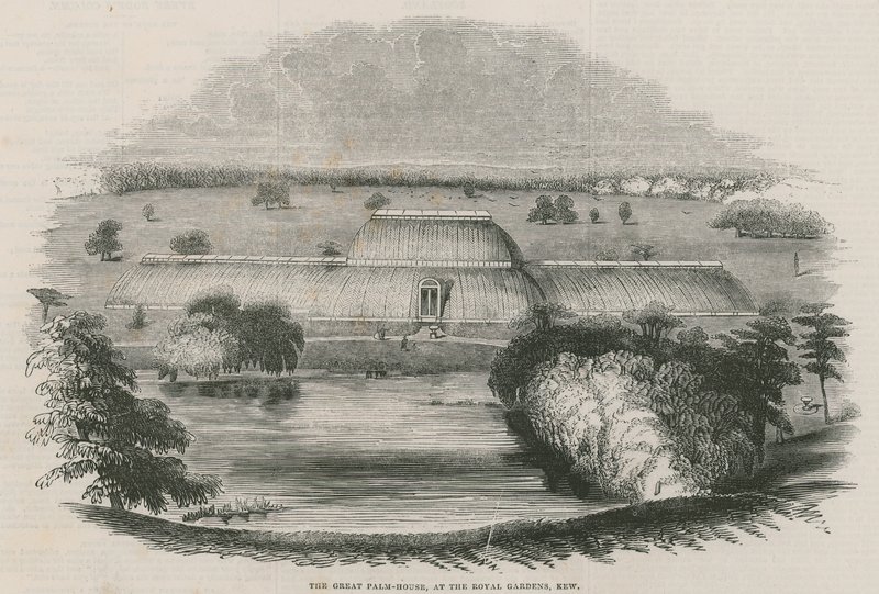 La grande maison des palmiers aux jardins royaux, Kew, Londres - English School