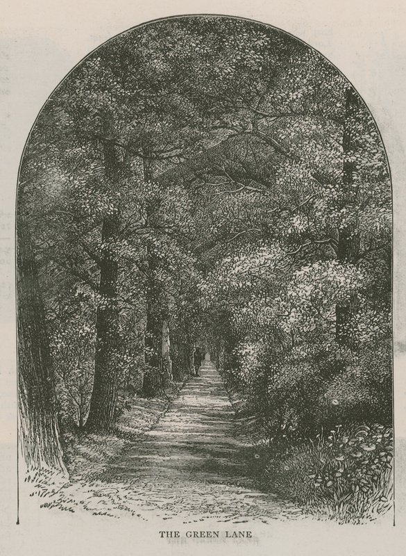 Le chemin vert, Holland House - English School