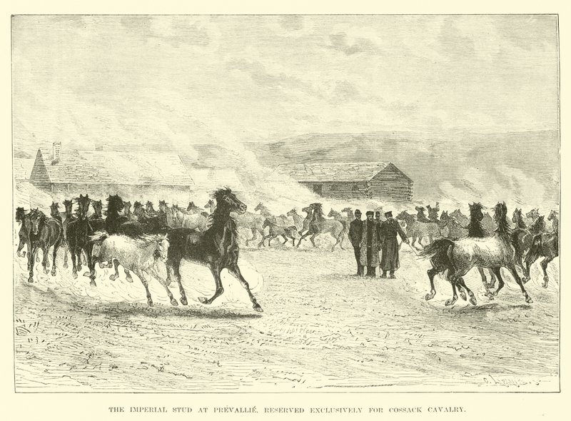 Le haras impérial à Prevallie, réservé exclusivement à la cavalerie cosaque - English School
