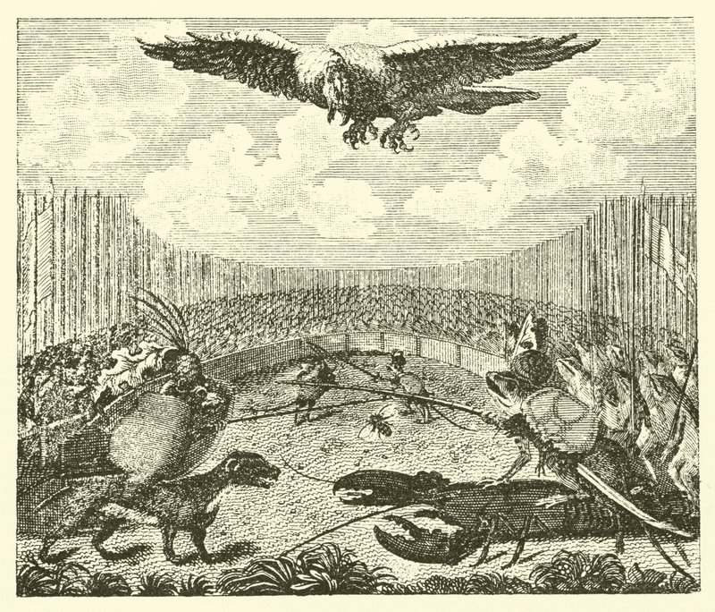 Le cerf-volant, la grenouille et la souris - English School