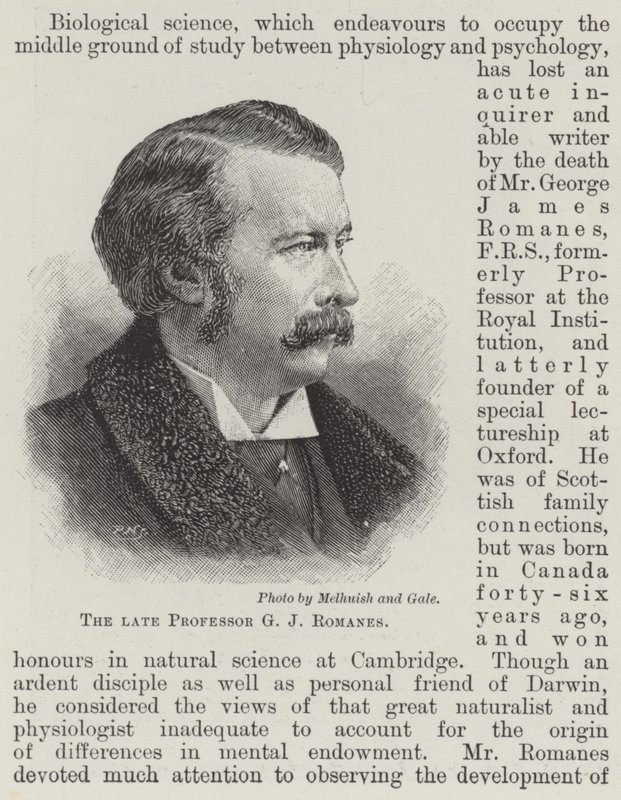 Le défunt Professeur G J Romanes (gravure) - English School