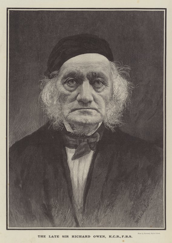 Feu Sir Richard Owen, KCB, FRS (gravure) - English School