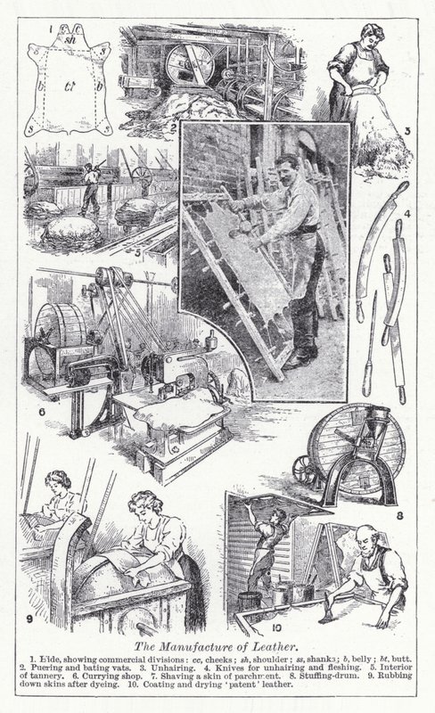 La fabrication du cuir - English School