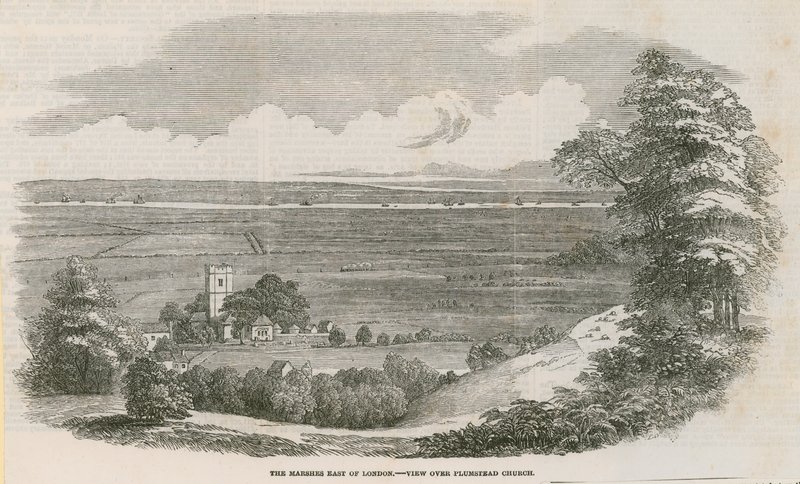 Les marais à l