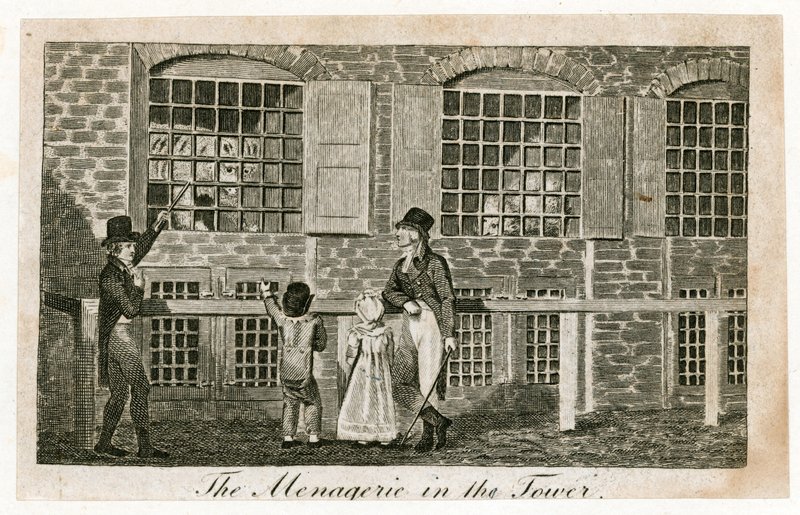 La ménagerie de la Tour de Londres vers 1820 - English School