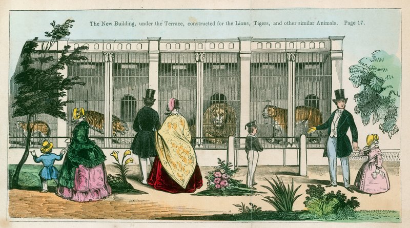 Le nouveau bâtiment, sous la terrasse, construit pour les lions, tigres et autres animaux similaires - English School