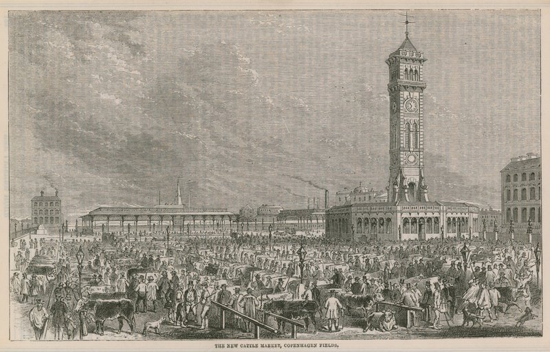 Le nouveau marché aux bestiaux, Copenhagen Fields, Londres - English School