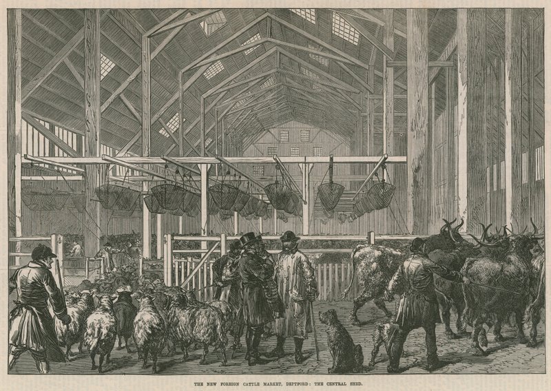 Le nouveau marché aux bestiaux étrangers, Deptford, Londres - le hangar central - English School