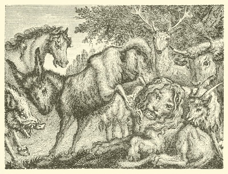 Le vieux lion (gravure) - English School