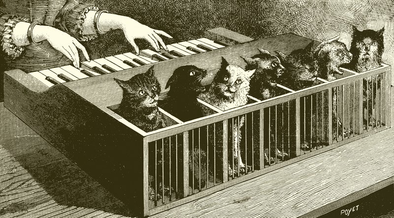 Le piano des chats - English School
