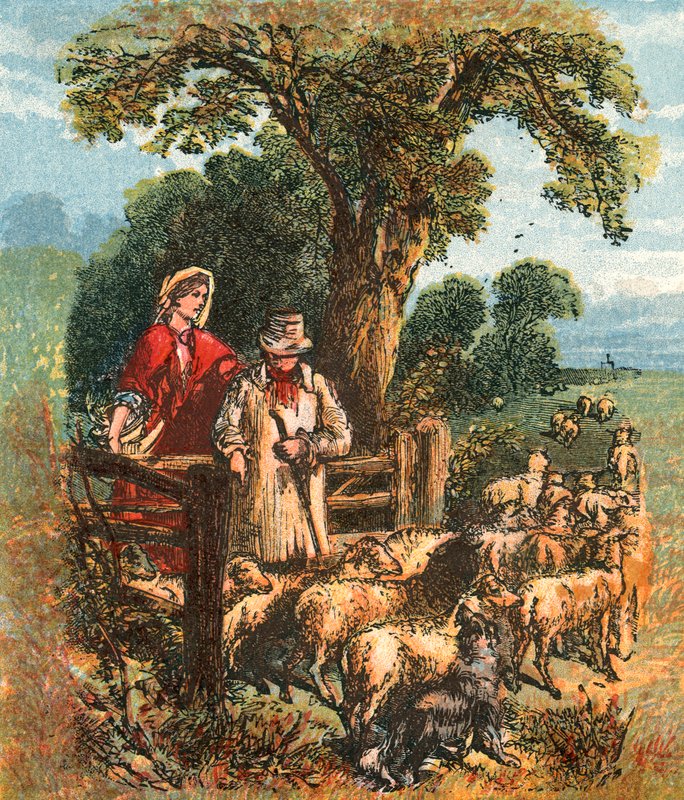 Le berger comptant ses moutons - English School