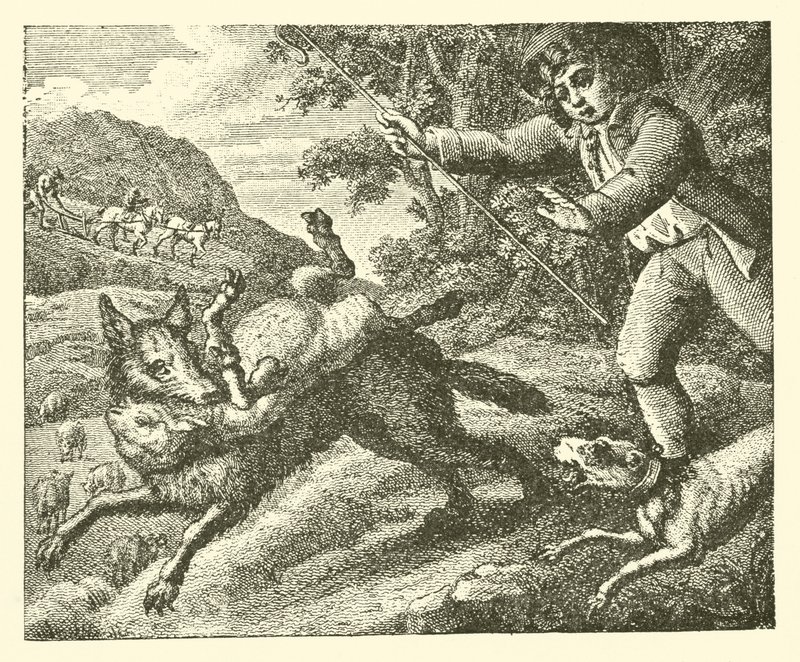 Le garçon de berger (gravure) - English School