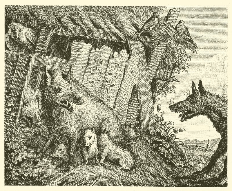 La truie et le loup (gravure) - English School