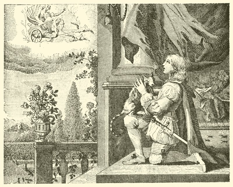 Le jeune homme et son chat - English School