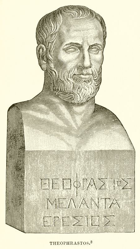 Théophraste - English School