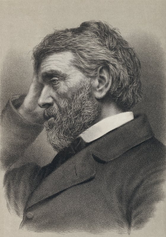 Thomas Carlyle (gravure) - English School