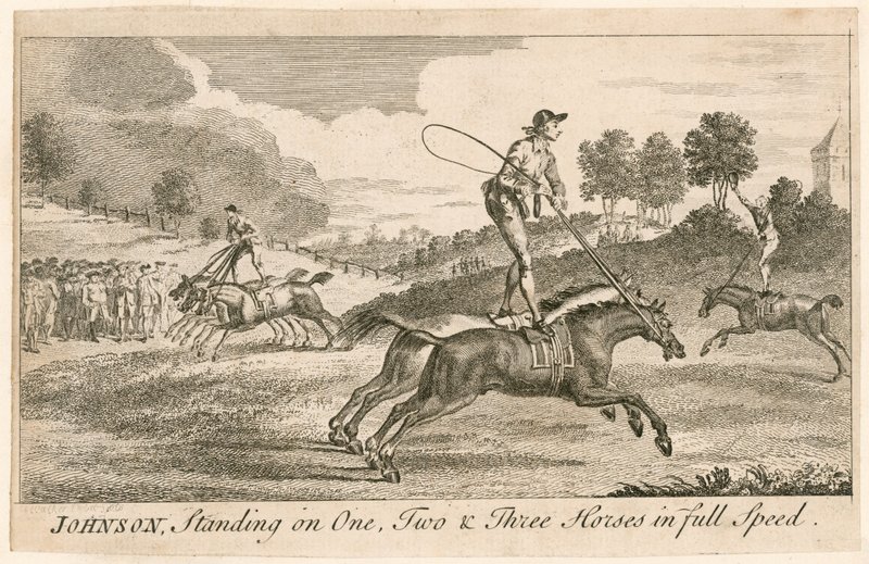 Thomas Johnson debout sur un, deux et trois chevaux à pleine vitesse - English School