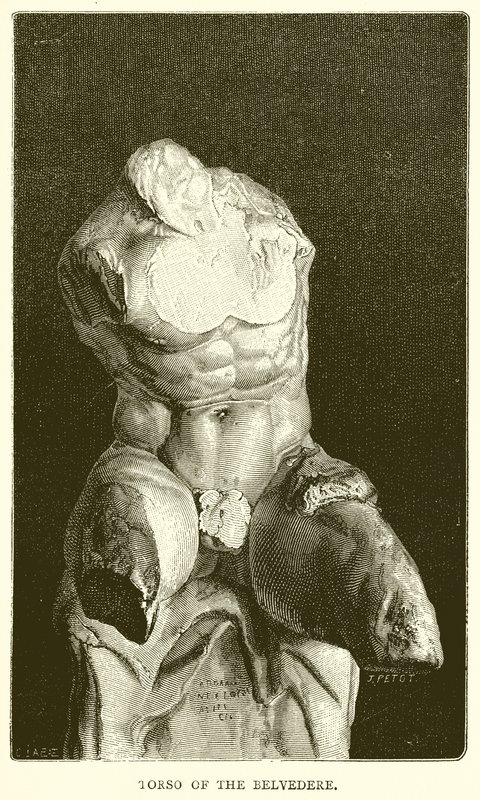 Torso du Belvédère - English School