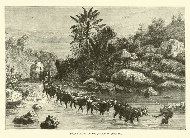 Voyage en Griqualand - English School