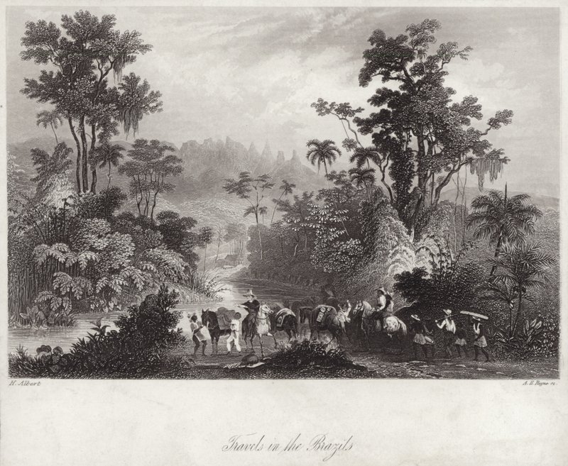 Voyages au Brésil - English School