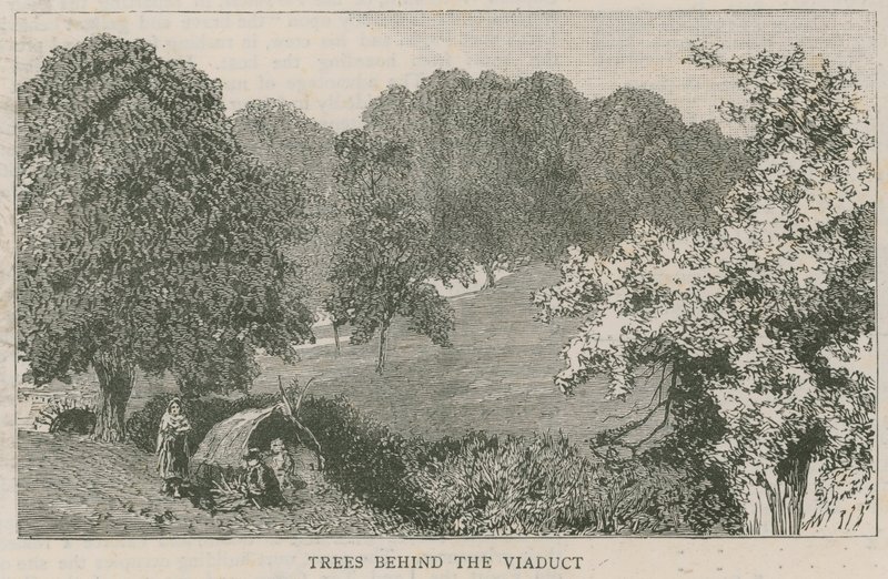 Arbres derrière le viaduc - English School