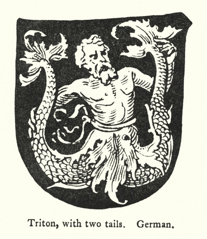 Triton, à deux queues, allemand (gravure) - English School