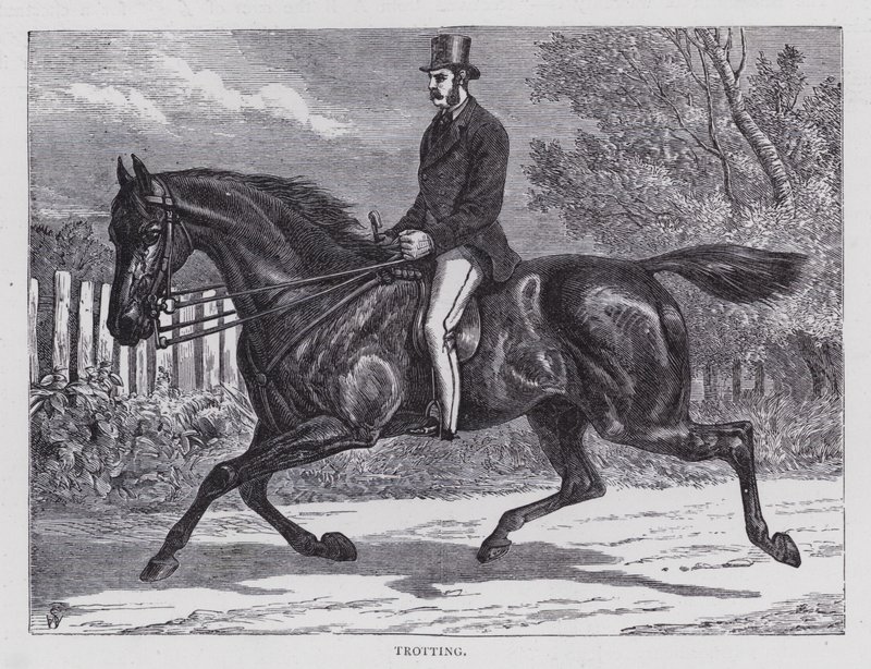 Trot (gravure) - English School