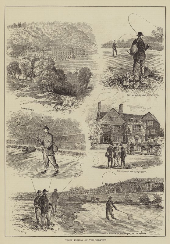 Pêche à la Truite sur la Derwent - English School