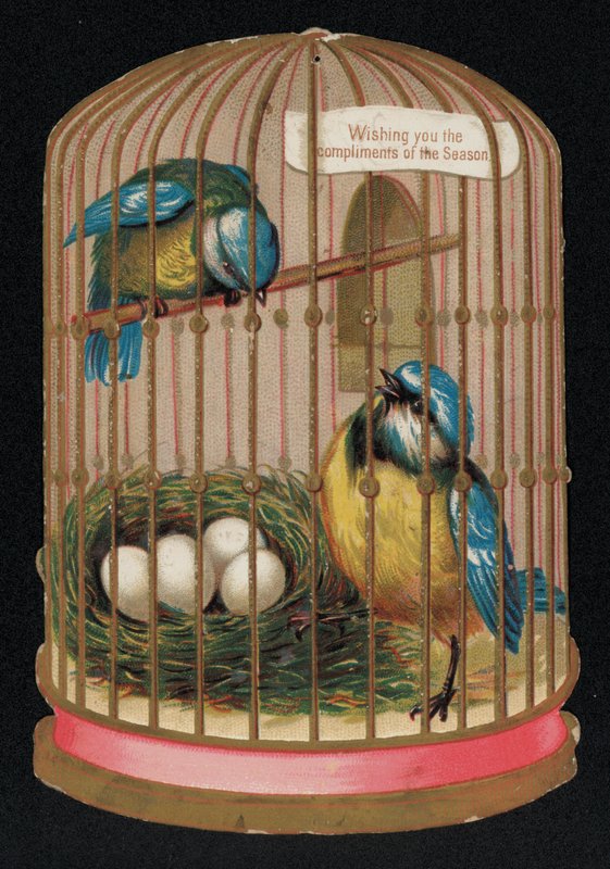 Deux mésanges bleues dans une cage, carte de vœux de Noël (chromolithographie) - English School