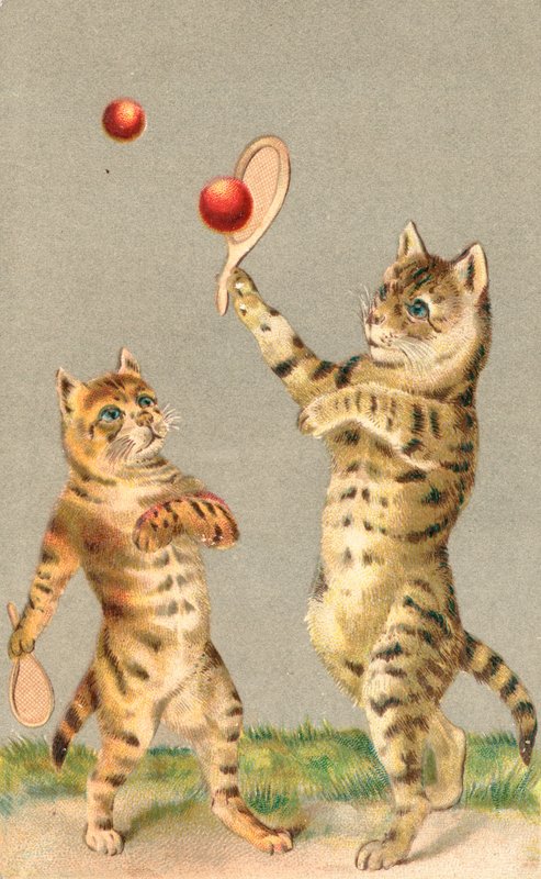 Deux chats jouant avec des raquettes et une balle - English School