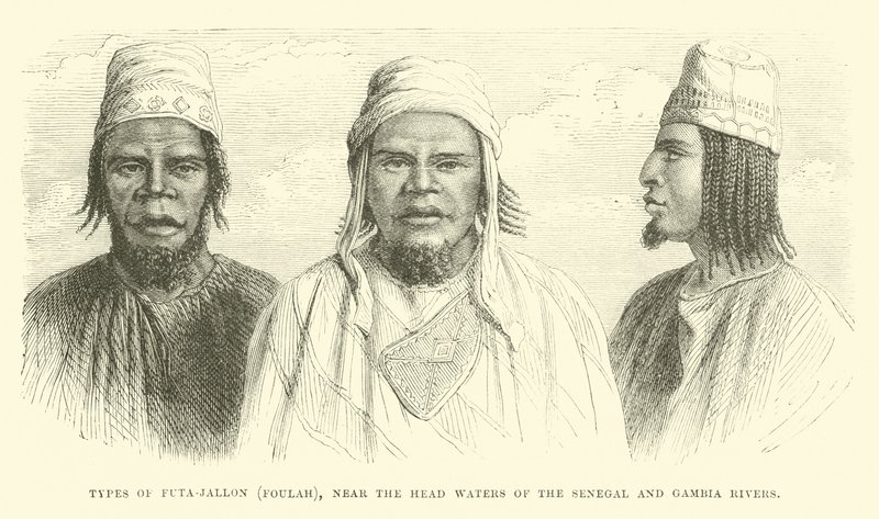Types de Futa-Jallon, Foulah, près des sources des rivières Sénégal et Gambie - English School