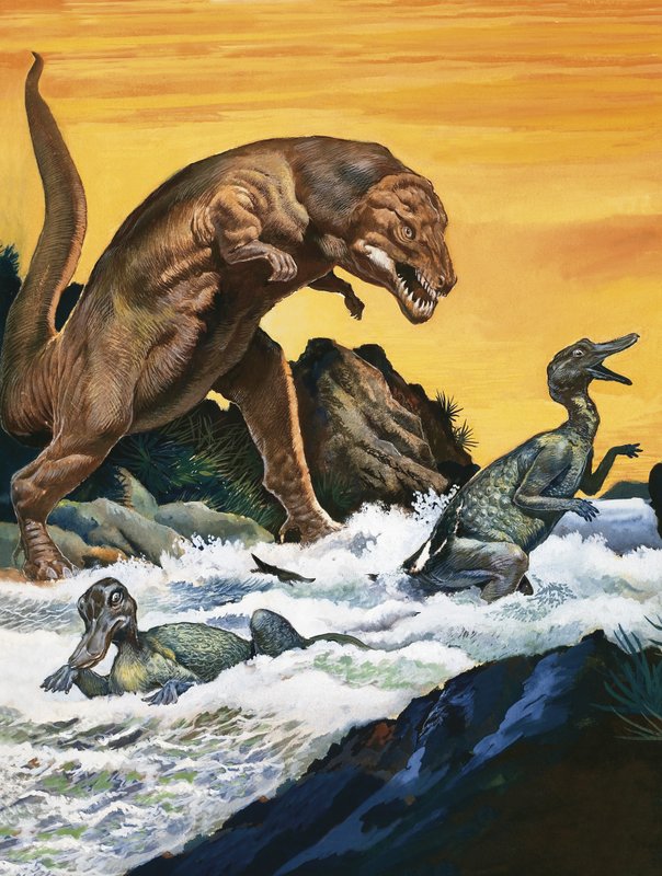 Attaque du Tyrannosaurus Rex - English School