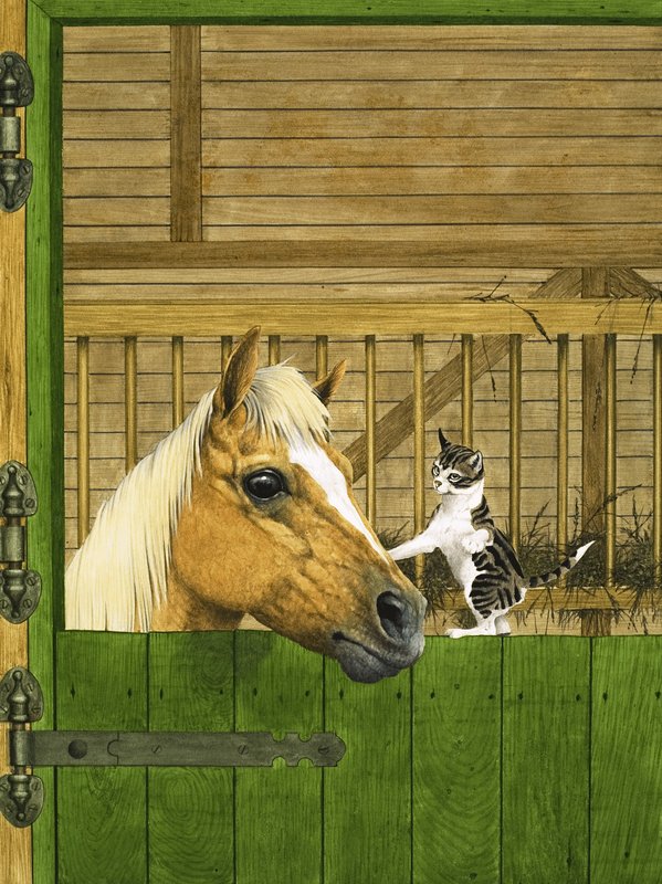 Cheval non identifié et chaton joueur - English School
