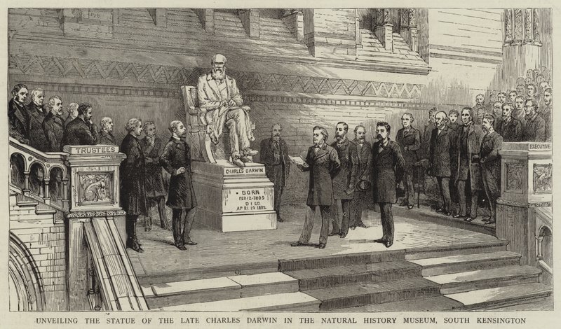 Dévoilement de la statue du défunt Charles Darwin au Musée d
