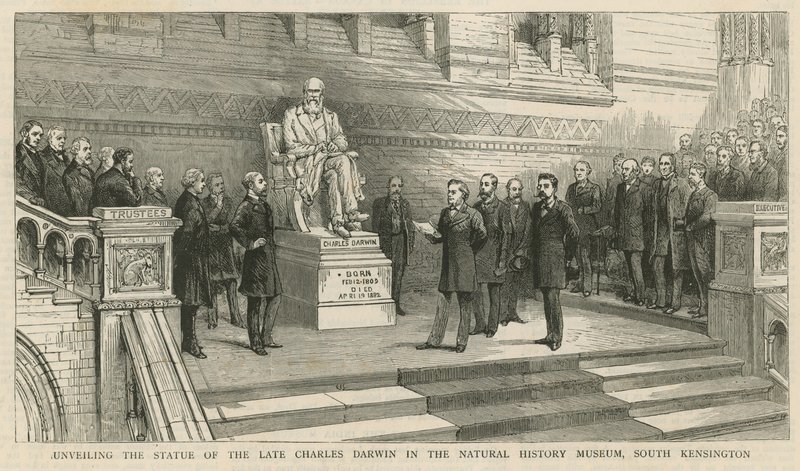 Dévoilement de la statue du défunt Charles Darwin au Musée d
