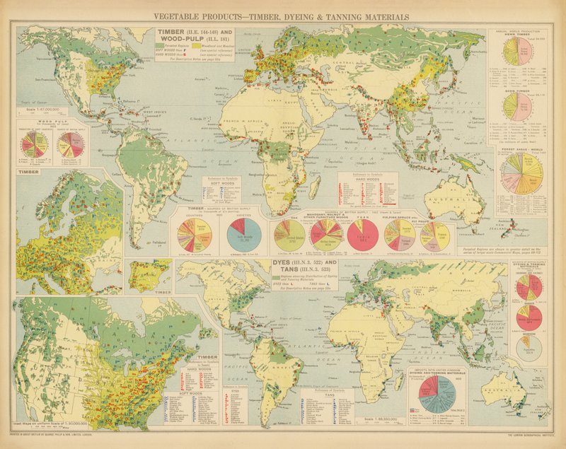 Produits végétaux, Bois, Matériaux de teinture et de tannage - English School