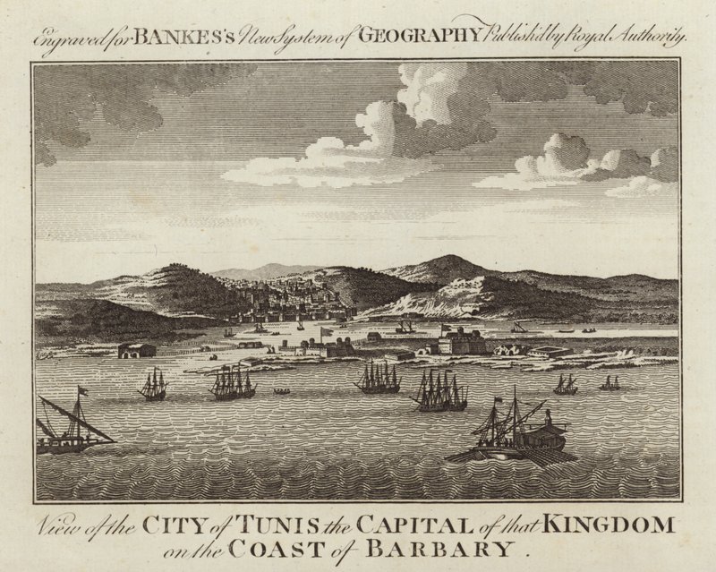 Vue de la ville de Tunis - English School
