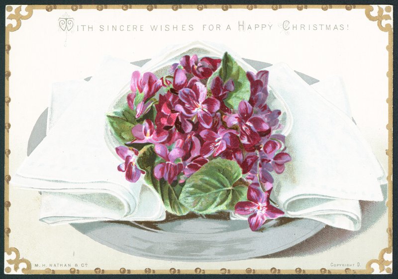 Violettes, carte de Noël - English School