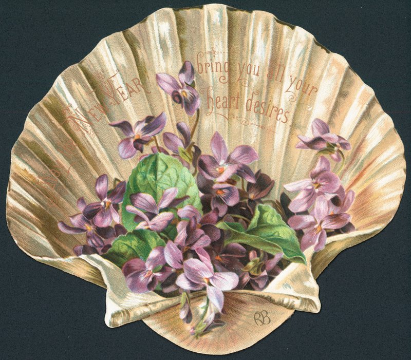 Violettes dans une coquille de palourde, carte de Nouvel An - English School