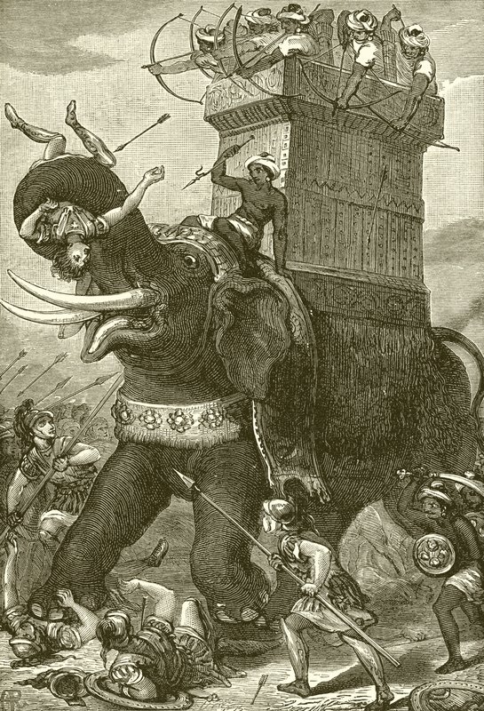 Éléphant de guerre dans l