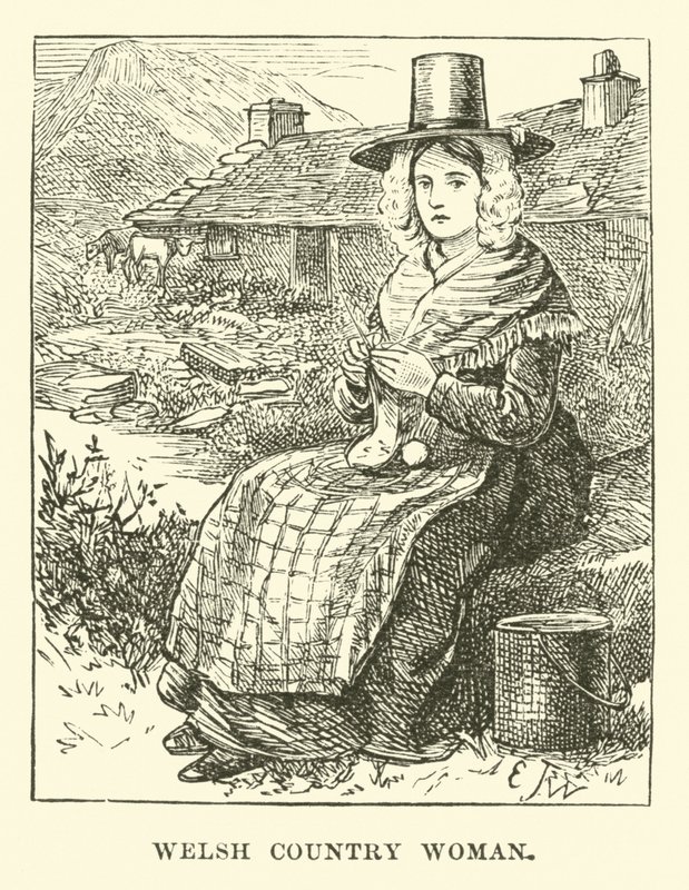 Femme de campagne galloise - English School