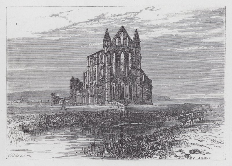 Abbaye de Whitby (gravure) - English School