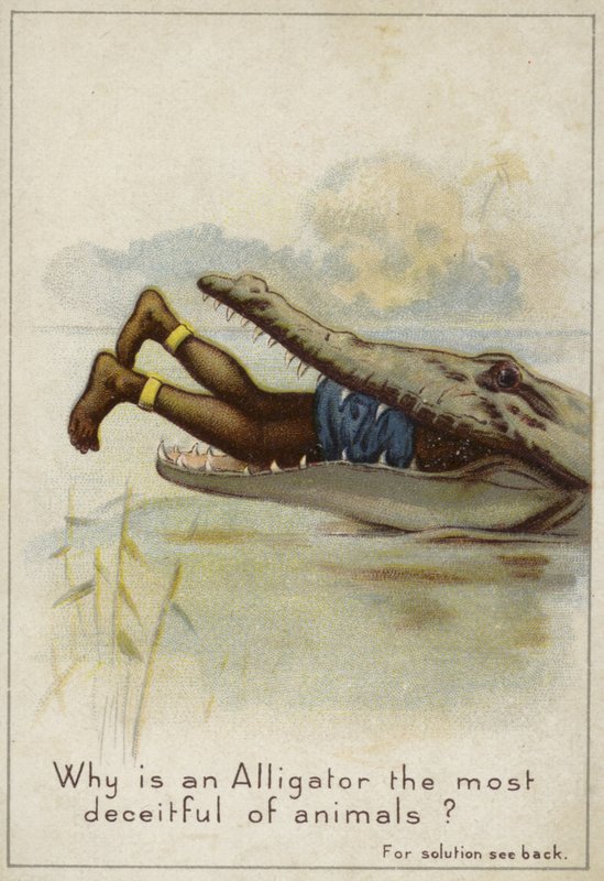 Pourquoi un alligator est-il le plus trompeur des animaux? - English School